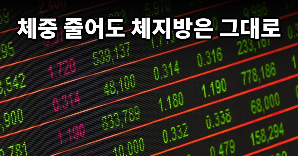 체중 줄어도 체지방은 그대로 — AIRNOTE