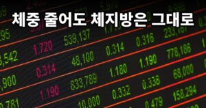 “몸무게가 중요한게 아니야!” 체중이 아니라 체지방을 봐야 하는 이유